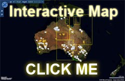 Interactive map