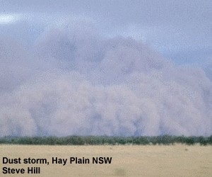 Dust storm, Hay Plain NSW [Steve Hill]